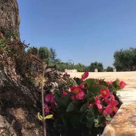 Trulli Da Lalli * オストゥーニ